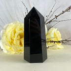 Shiny Black Crystal Point