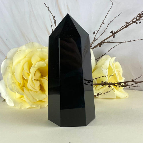Shiny Black Crystal Point