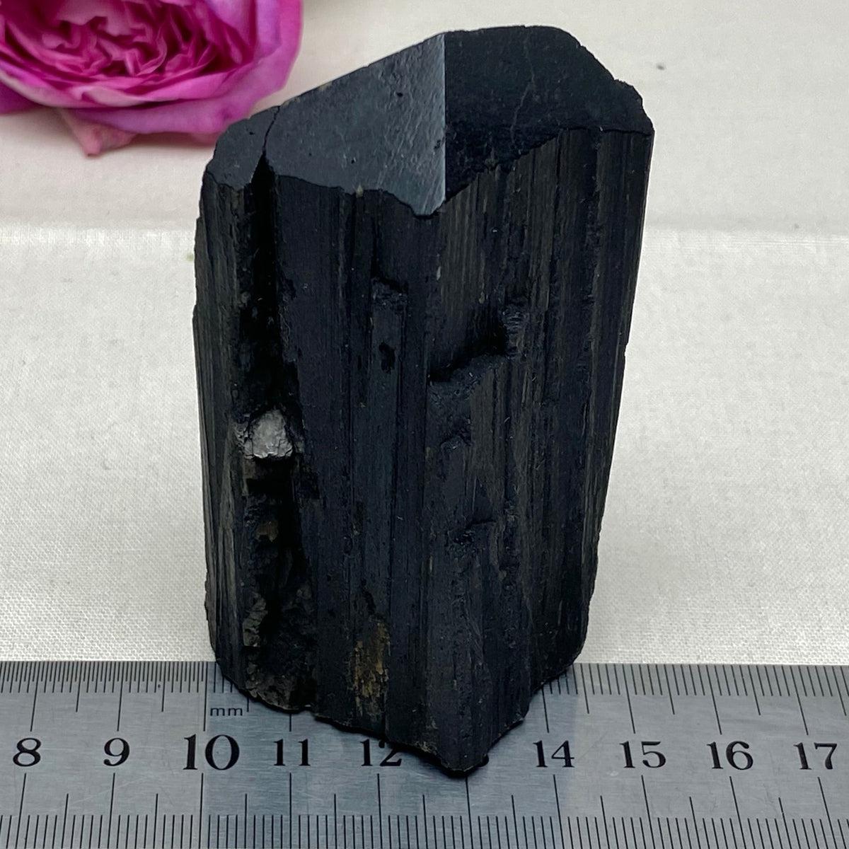 Black Tourmaline Large Raw & Polished Generator Crystal Points