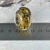 Open Size Amber Ring