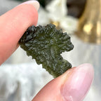 Moldavite Raw Pieces