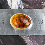 Contemporary Amber Pendant