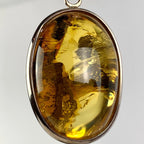 Amber Sterling Silver Pendant