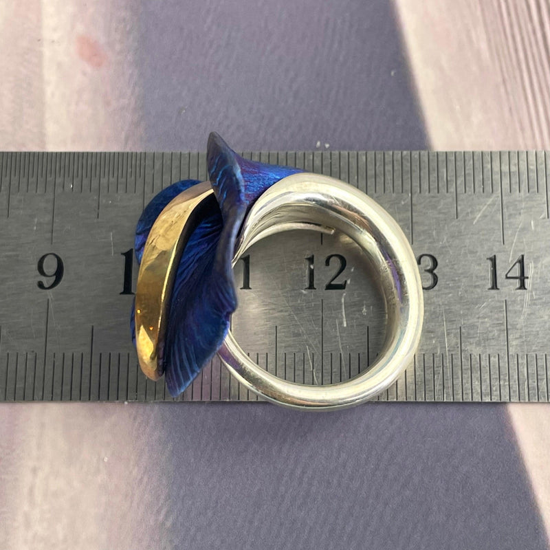 Gold Silver Titanium Ring