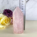 Rose Quartz Crystal Points 8.5cm-14.5cm