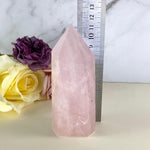 Rose Quartz Crystal Points 8.5cm-14.5cm