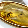 Baltic Amber Gold Pendant