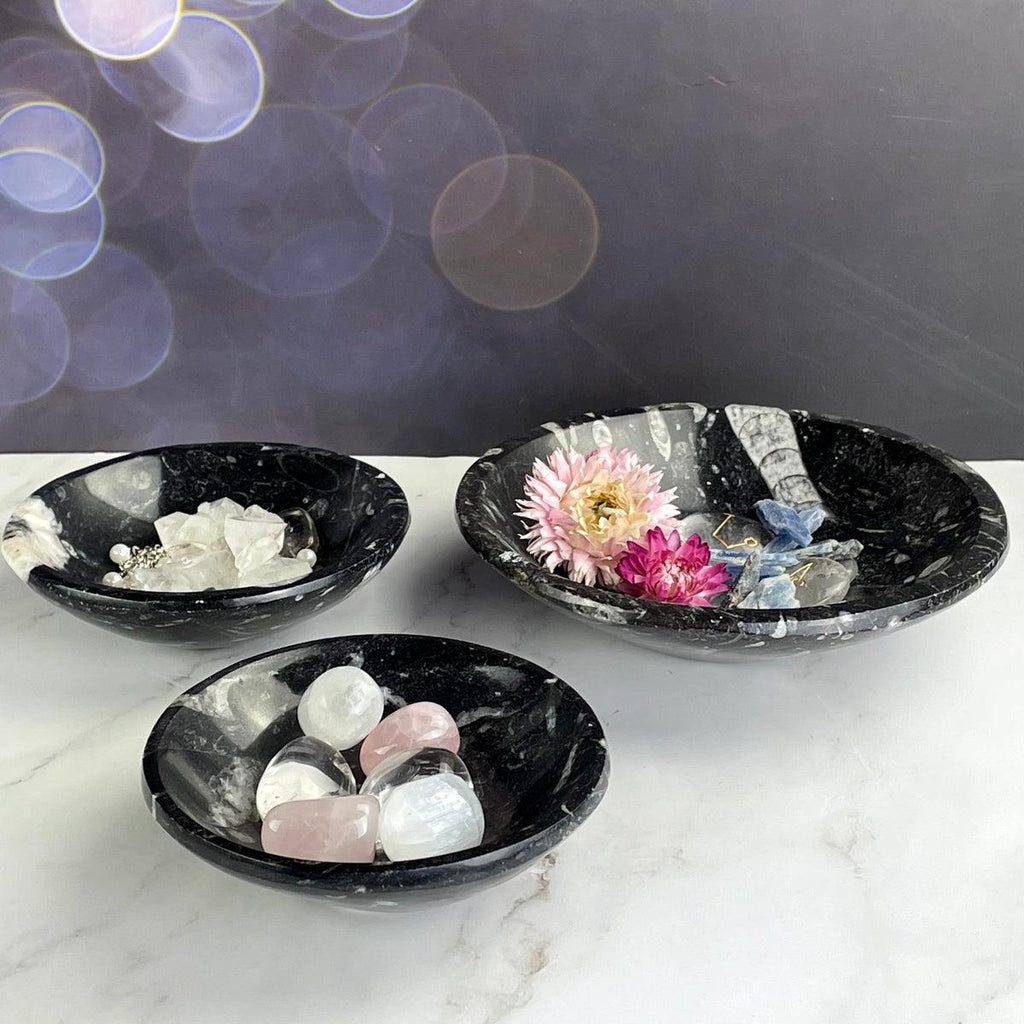 Orthoceras Bowls