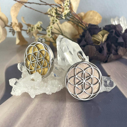 Gibeon Meteorite Seed Of Life Mixed Metals Pendant