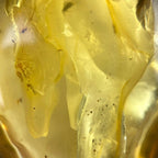 Amber Jewellery