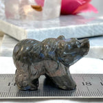 Llanite Bear Carving
