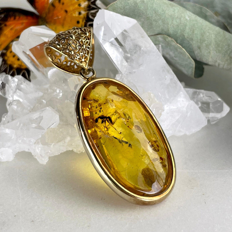 Fossilised Insect In Amber Jewellery