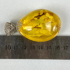 Amber Jewellery
