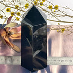 Black Obsidian Crystal Point 15cm