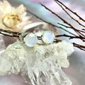 Moonstone Stud Earrings