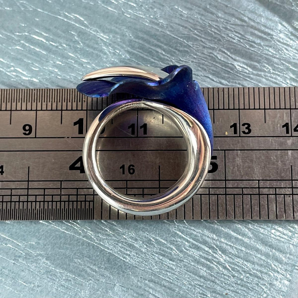 Titanium And Sterling Silver Ring