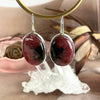 Rhodonite Oval Earrings