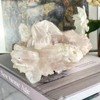 Himalayan Quartz Point Cluster