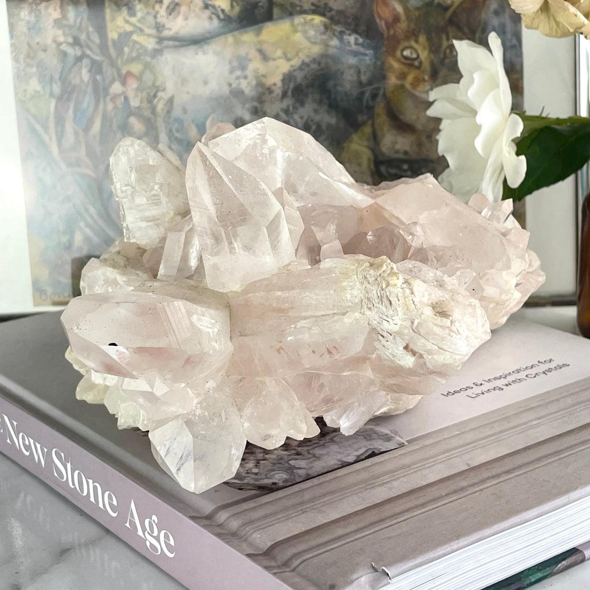 Himalayan Quartz Point Cluster