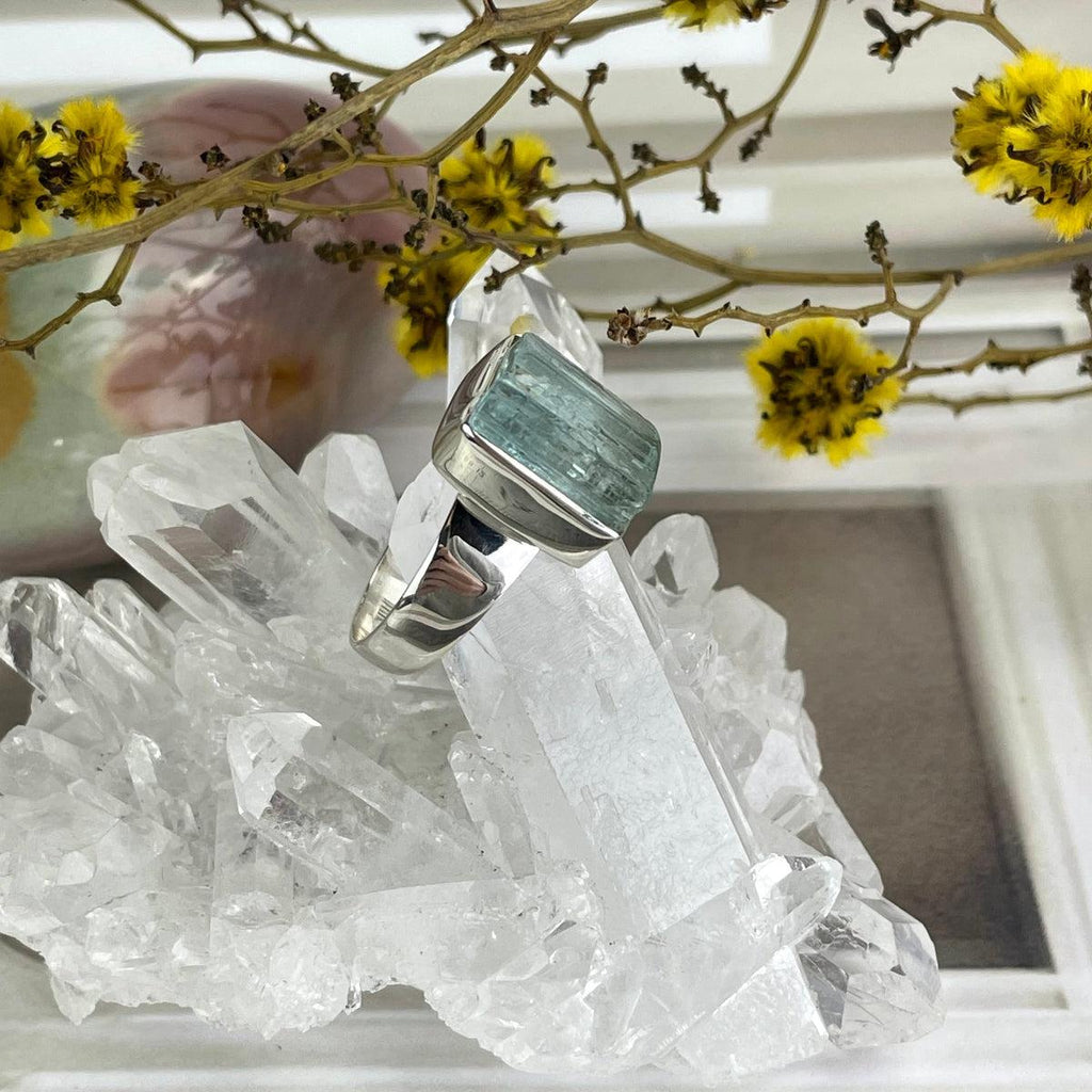 Ocean Lovers Ring