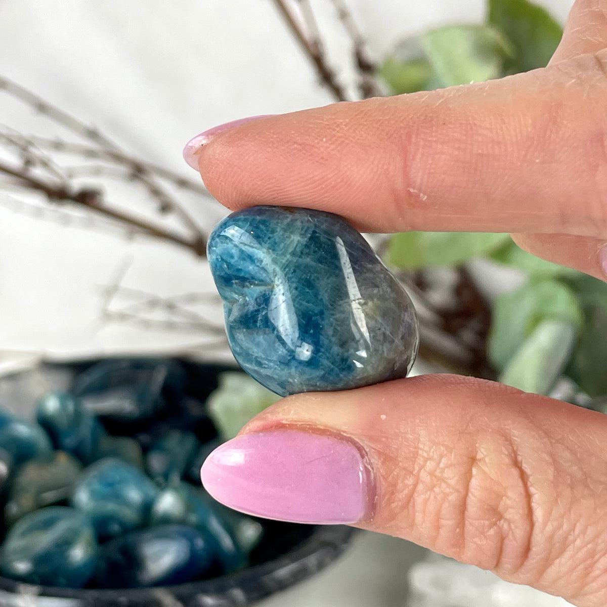 Polished Apatite