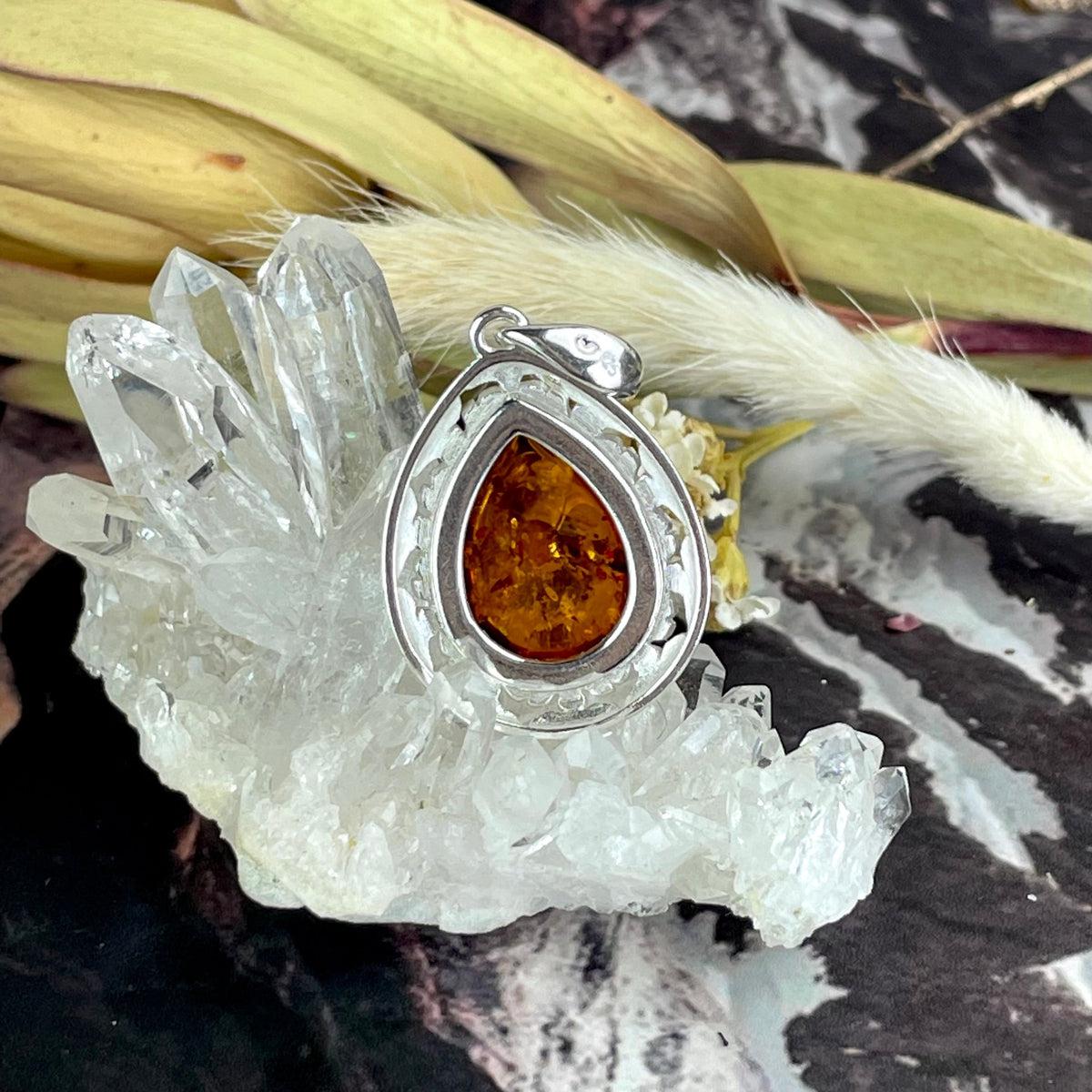 Dolphin Amber Jewellery
