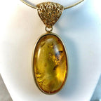Rare Amber With Fossil 