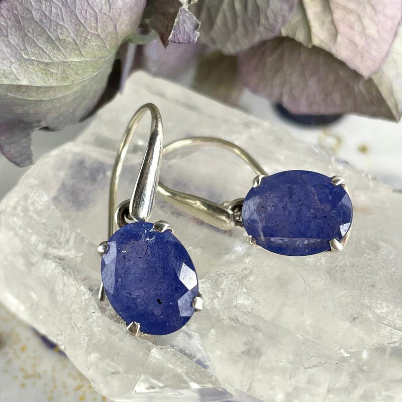 Indigo Blue Gemstone Earrings