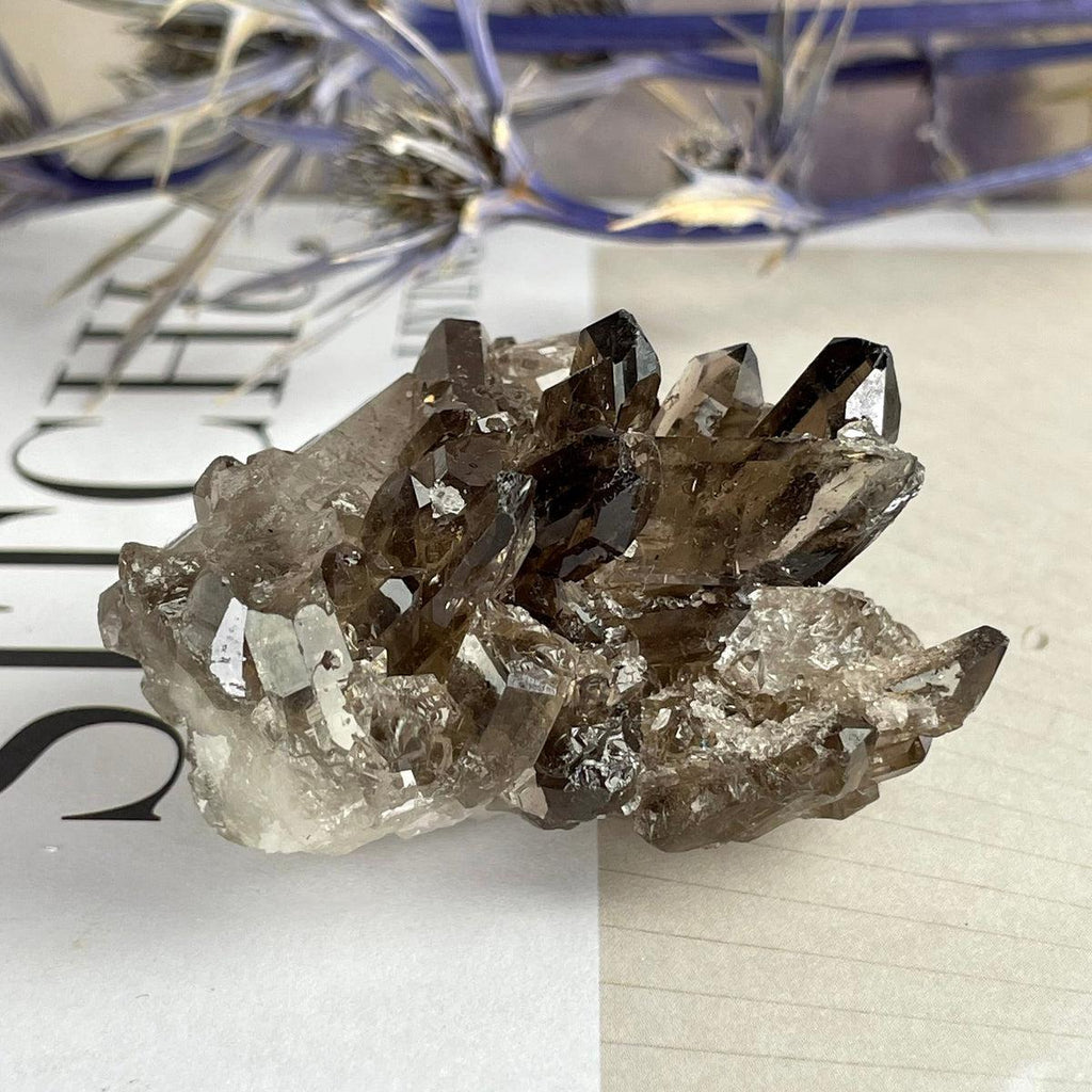 Smokey Quartz Small Crystal Cluster