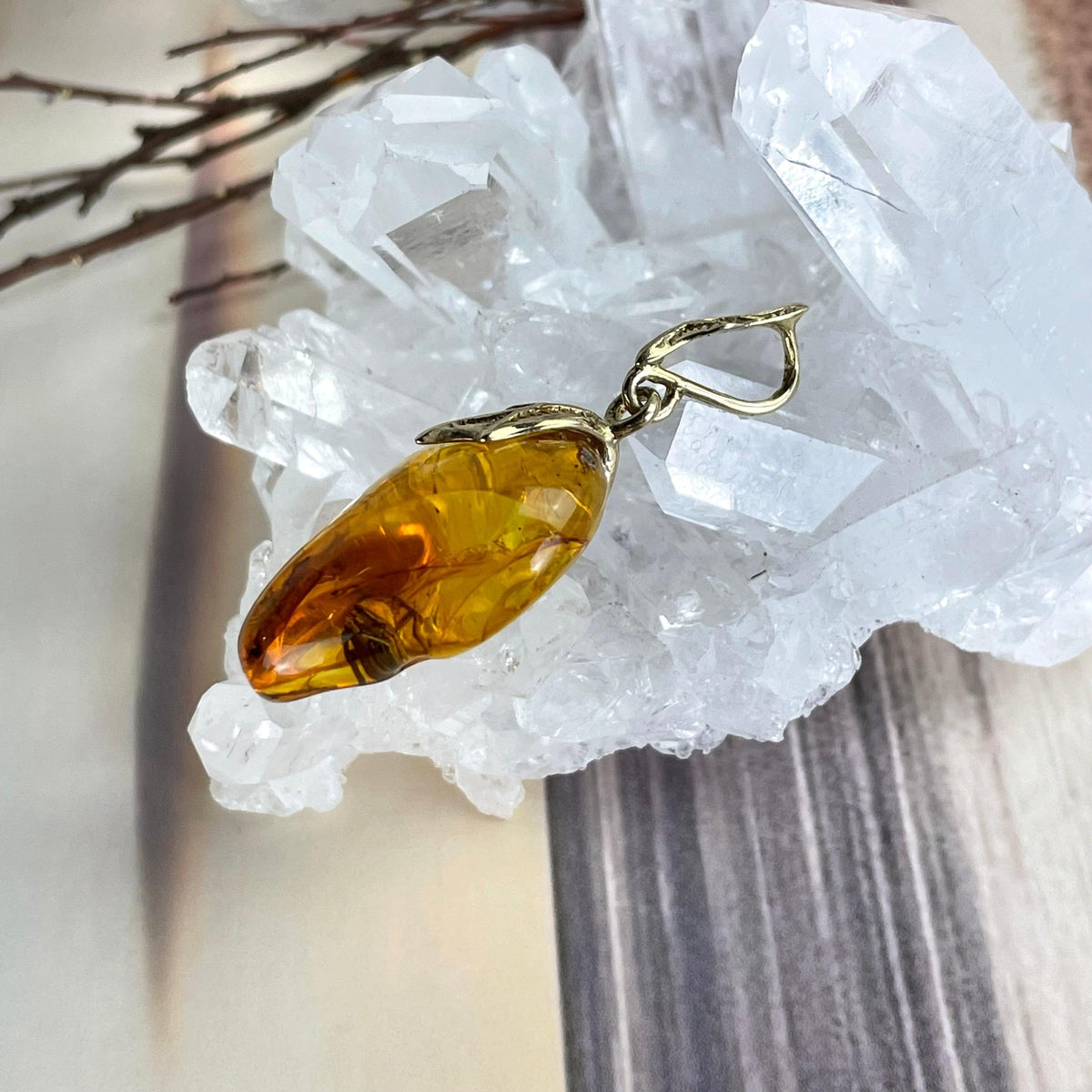 Entomolgy Lover Gift