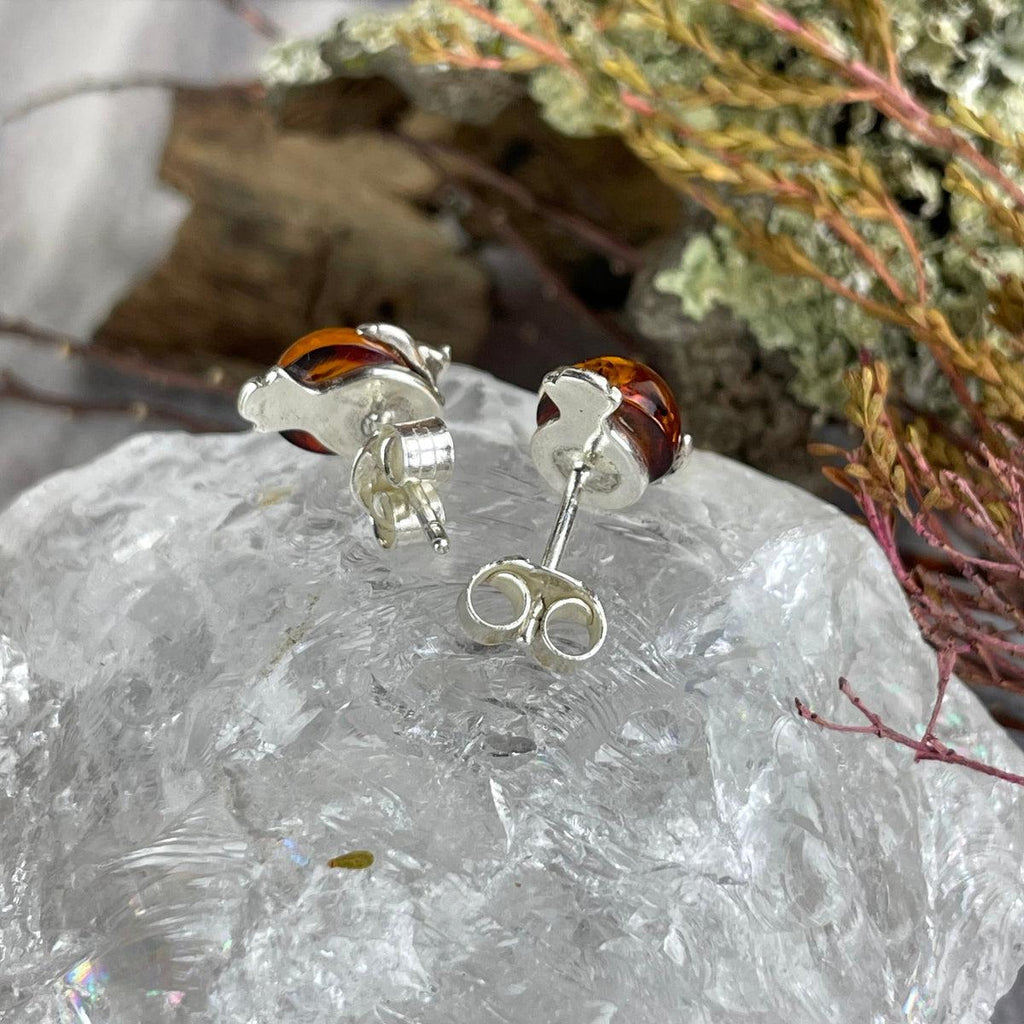 Baltic Amber Studs