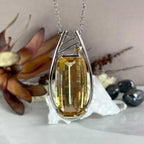 Janusz Szkutnik Pendant