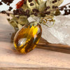 Fossilised Insect In Amber Pendant