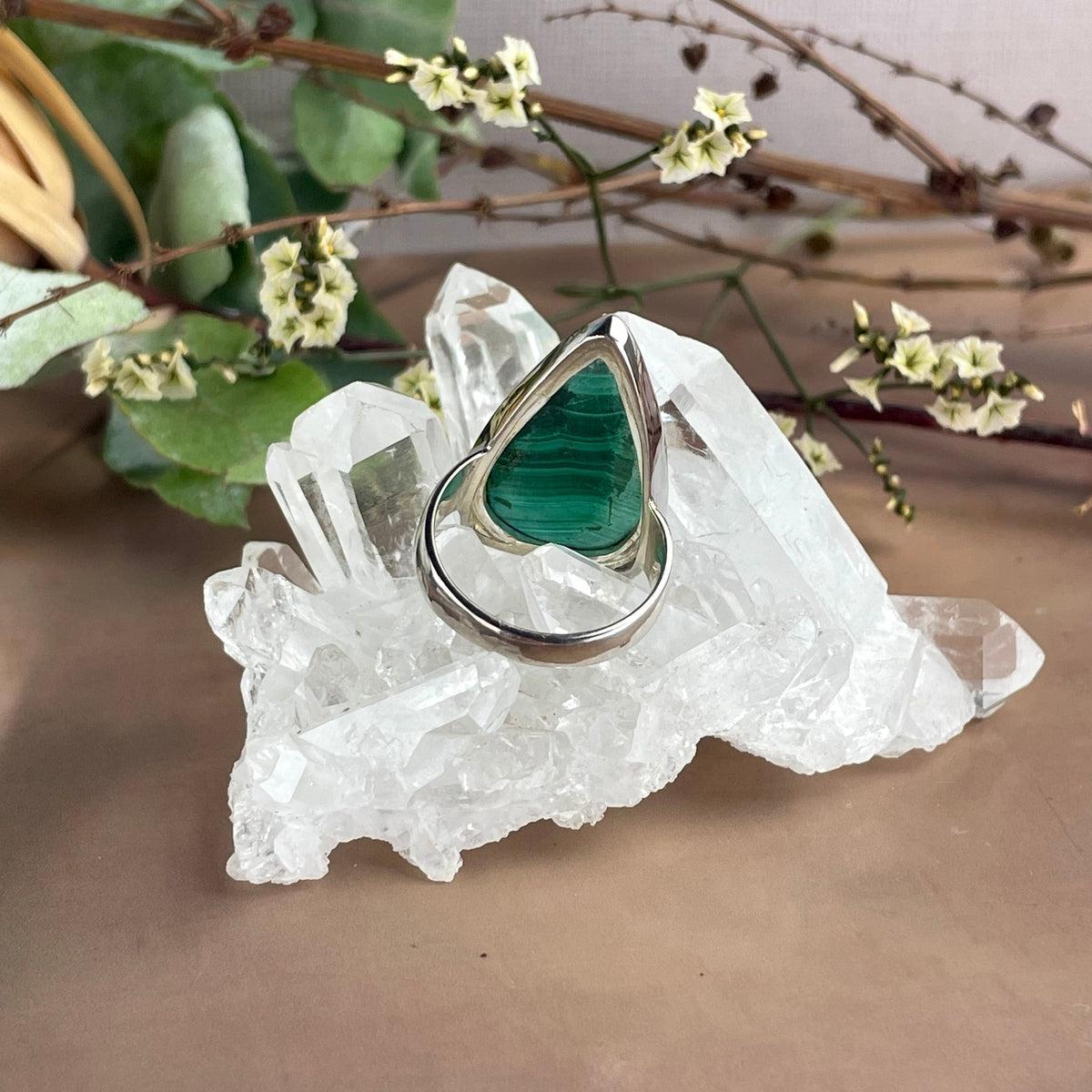 Gift For Nature Lover