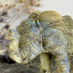 Labradorite Elephant Hand Carved Statue