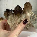 Smokey Quartz Cluster