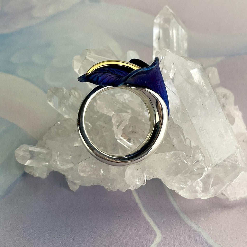 Hand Etched Titanium Ring