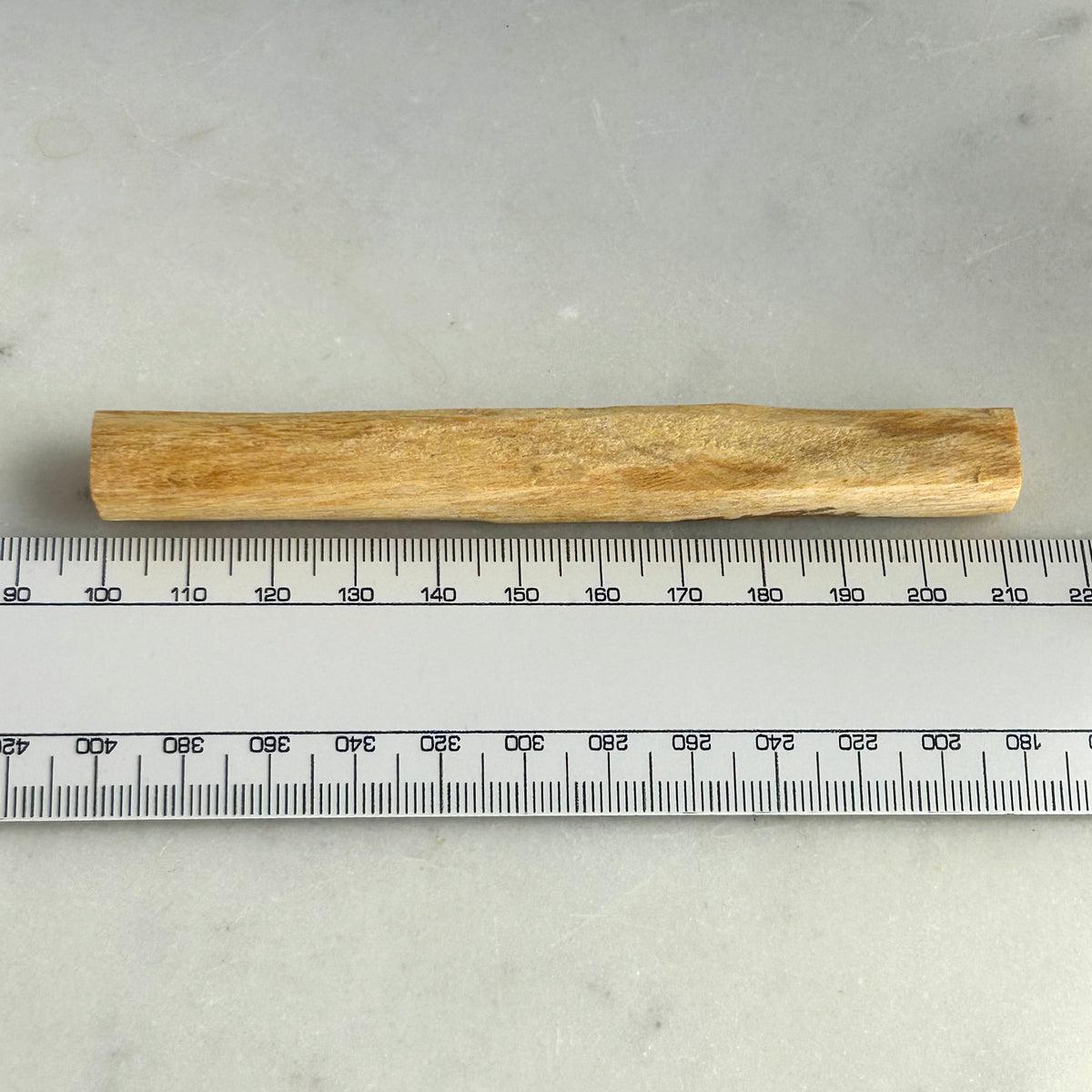 Cleansing Palo Santo