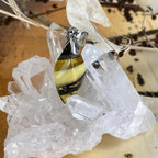 Real Amber Pendant