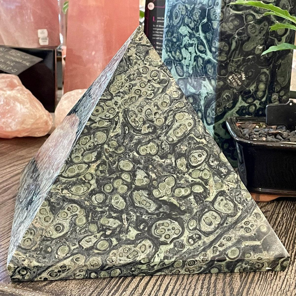 Kambaba Jasper