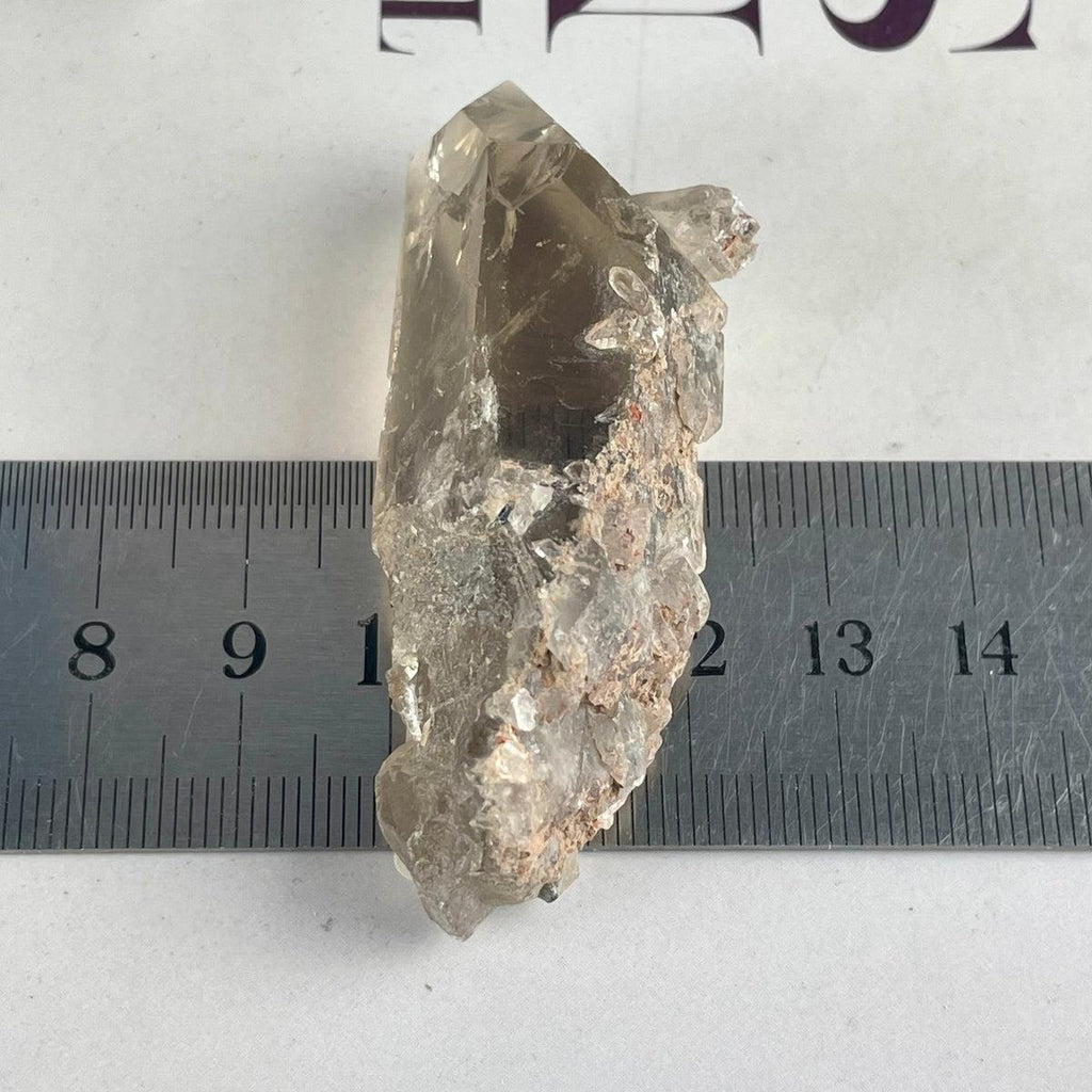 Ethically Sourced Natural Smokey Quartz Large Points