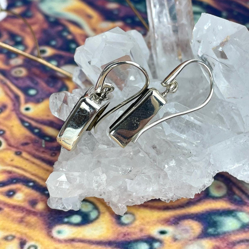 Black Tourmaline Drop Earrings