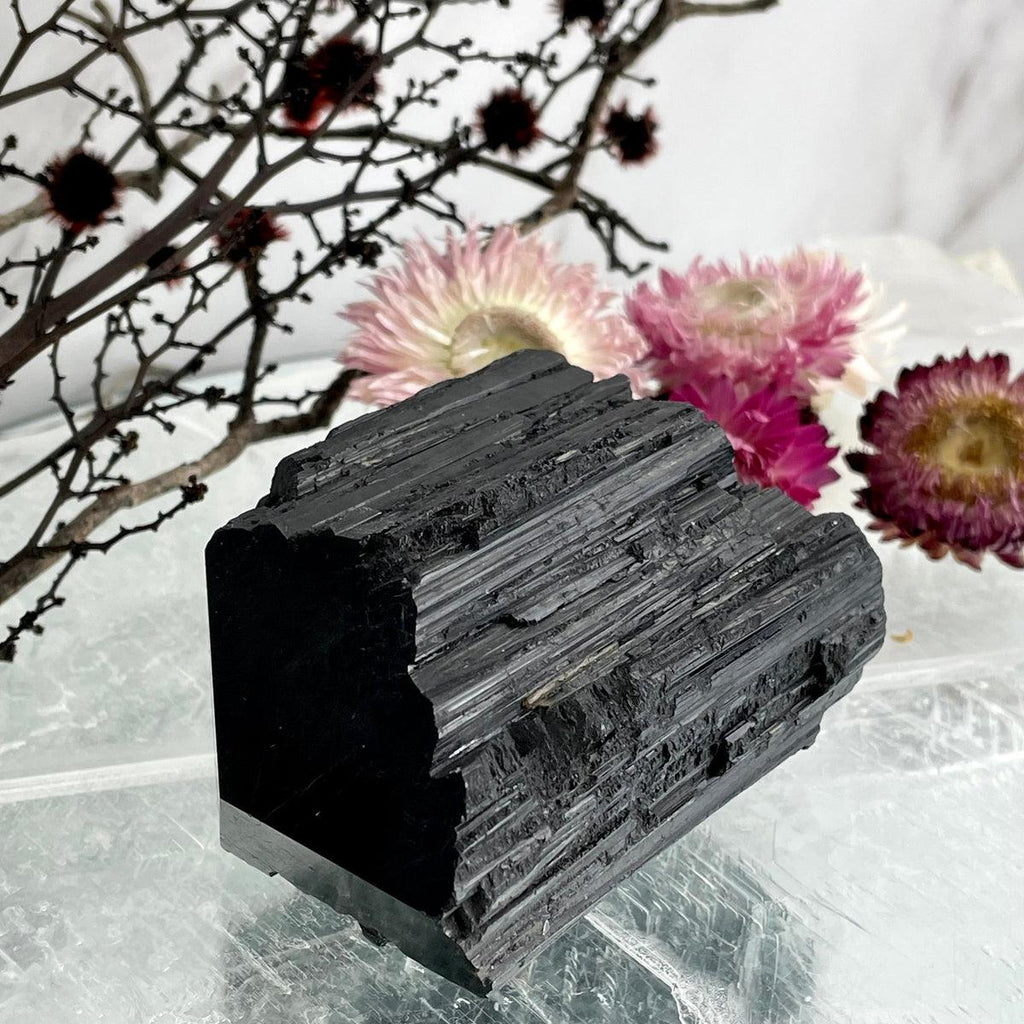 Black Tourmaline Large Raw & Polished Generator Crystal Points