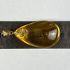 Amber With Insect Pendant