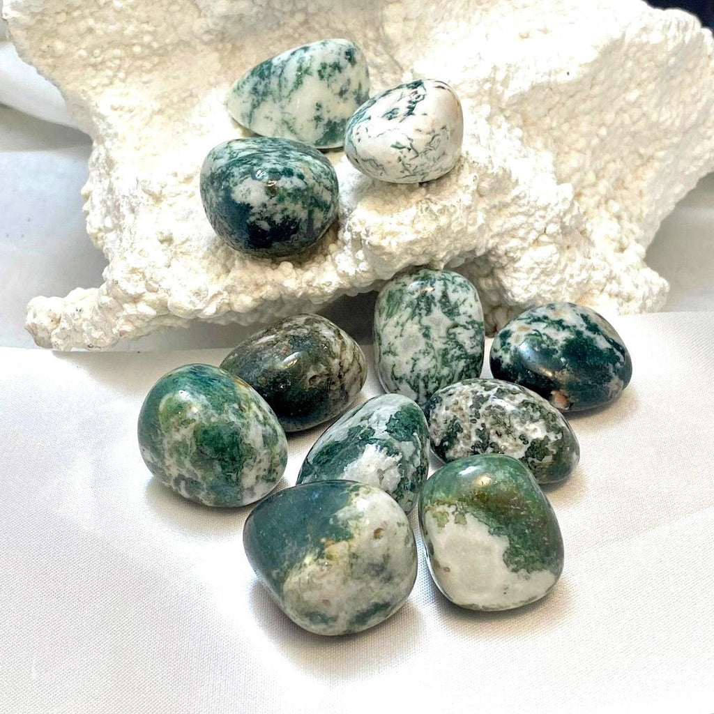 Tree Agate