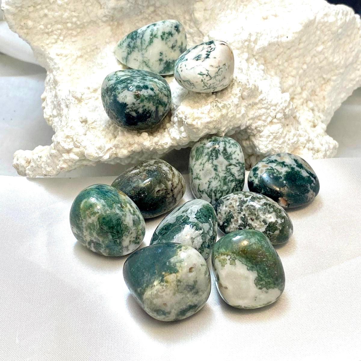Tree Agate
