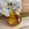 Authentic Amber With Mosquito Inclusion