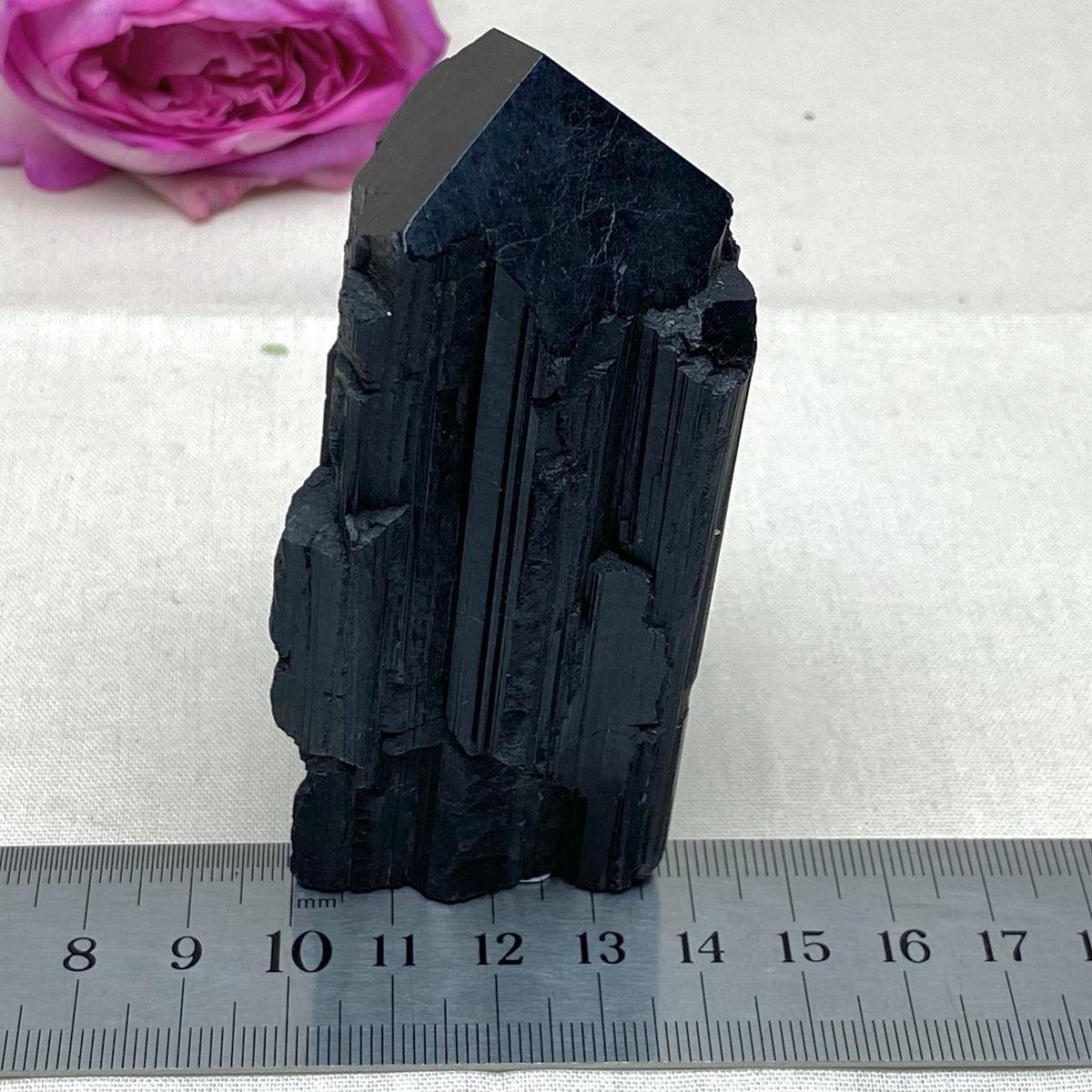 Black Tourmaline Large Raw & Polished Generator Crystal Points