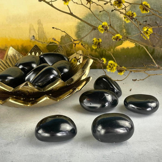 Shungite Tumbled Stones