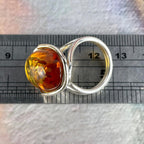 Prehistoric Amber Jewellery